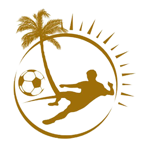 Лига ТФ по пляжному футболу